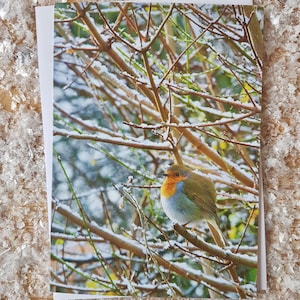 Carte de Noël de Robin dans la neige | Carte de Noël de Robin | Carte de Noël photographique Robin | Carte de Noël hivernale | Carte de Noël Scène de neige Royaume-Uni