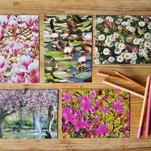 Rosa Fotokarten-Kollektion | Fotografie Grußkarten für jeden Tag | Blanko Grußkarten | Naturfotografie Karten Pack UK