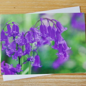 May include: A close-up of a cluster of purple bluebells in bloom. The flowers are delicate and bell-shaped, with a soft, blurred background of green.