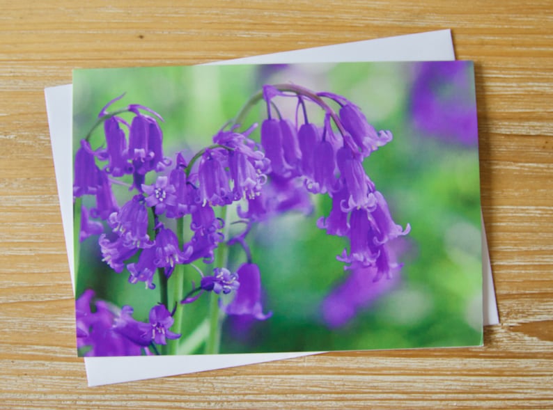 May include: A close-up of a cluster of purple bluebells in bloom. The flowers are delicate and bell-shaped, with a soft, blurred background of green.