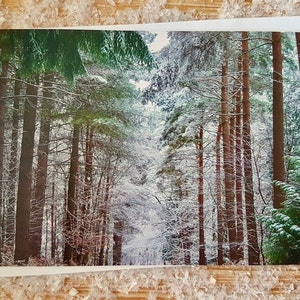 Carte de vœux de Noël de la promenade hivernale | Pack de cartes de Noël écologiques | Carte de Noël photographique de paysage forestier du Royaume-Uni | Carte de note de Noël nature scène de neige