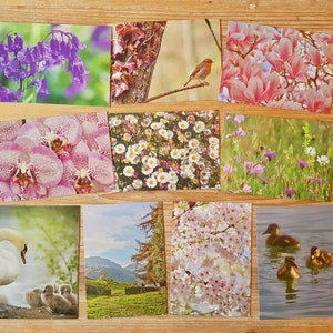 Pastellkarten-Sortiment | Fotografisches Karten-Set | Blanko Grußkarten | UK Photography 10 Karte Multipack | Umweltfreundliche Grußkarten