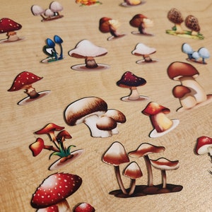 Mushroom Stickers: Adorable Matte, Glossy, or Holo Set