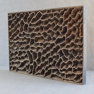 Peut inclure: Une œuvre d'art murale rectangulaire en bois avec un motif sculpté complexe de formes interconnectées. Le bois est de couleur brun foncé et le motif rappelle un nid d'abeilles ou un réseau de veines.