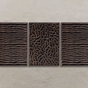 May include: A triptych of dark brown wooden wall art. The two outer panels feature horizontal, wavy lines, while the central panel has a textured, organic pattern. The artwork is mounted on a light beige wall.