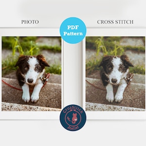 Custom Pet Photo Cross Stitch Pattern