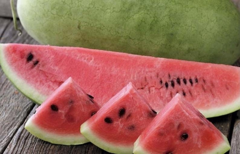 20 Charleston Grey, Watermelon Seeds. Ships Free - Etsy