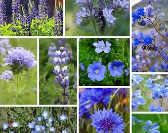 May include: A collage of nine images showcasing various blue flowers, including lupine, forget-me-nots, flax, and cornflower.