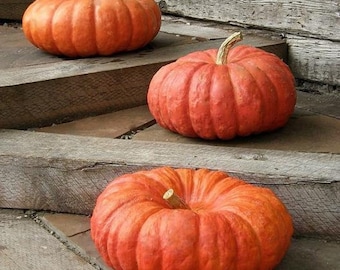 May include: Three orange pumpkins of varying sizes are arranged on wooden steps. The pumpkins have a smooth, slightly bumpy texture and are a vibrant orange color.