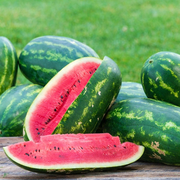 20 Sangria Watermelon seeds. Ships free