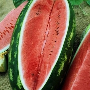 May include: A ripe watermelon cut in half, revealing bright red flesh with black seeds. The watermelon has a dark green rind with light green stripes.