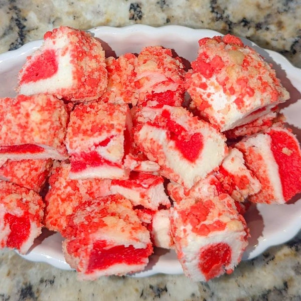 Freeze Dried Strawberry Shortcake Dream Bites