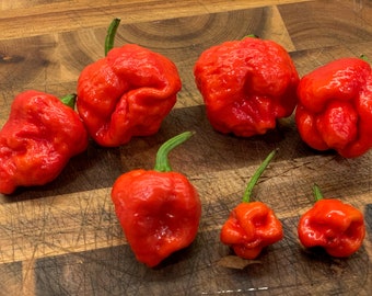 Dragon Breath Pepper Seeds Etsy Dragon Breath Pepper Seeds Etsy