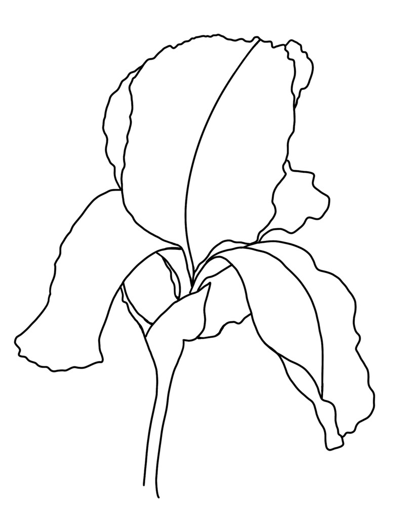 Iris Flower Coloring Page, Floral Art Therapy (digital Download) - Etsy