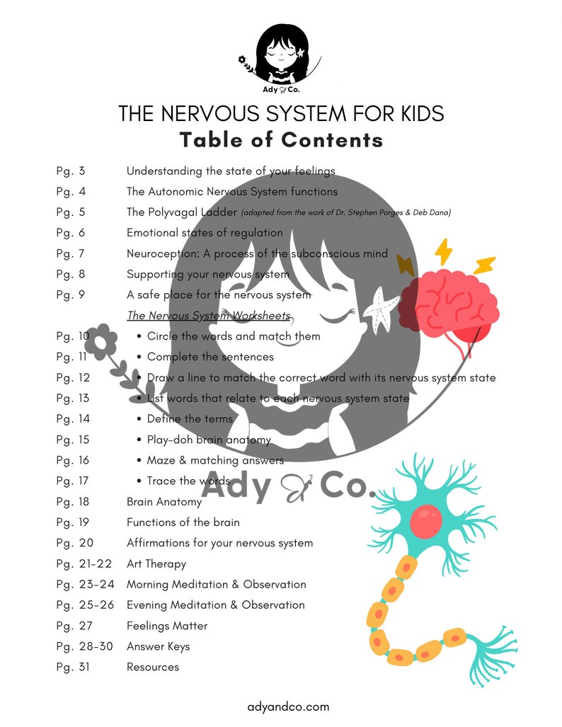 The Nervous System for Kids - Etsy