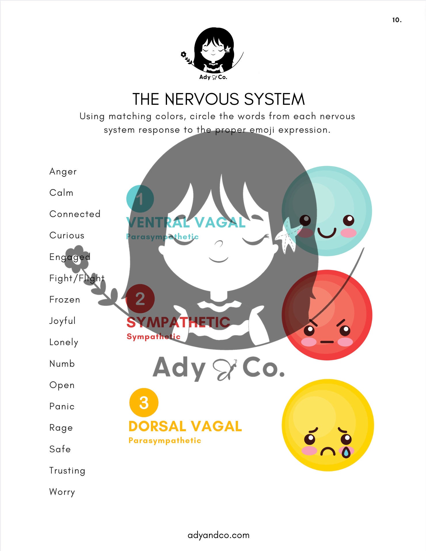 The Nervous System for Kids - Etsy