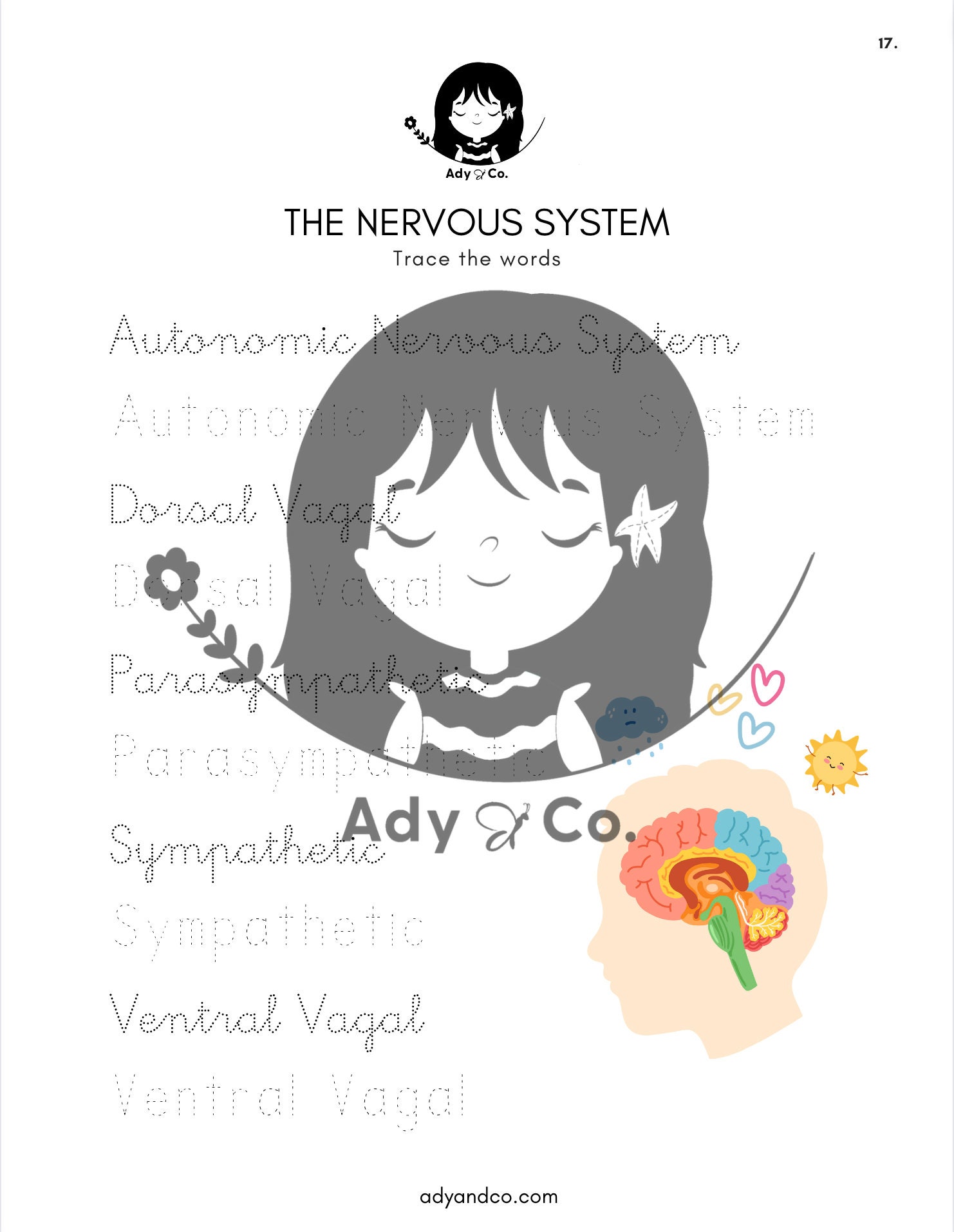 The Nervous System for Kids - Etsy