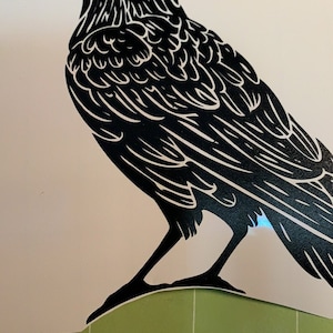Raven decal