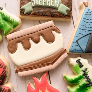 Puede incluir: Un conjunto de galletas de az&uacute;car decoradas con un tema de campamento. Las galletas presentan un letrero que dice "Camp Stephen", una fogata, una tienda de campa&ntilde;a, un malvavisco y un oso.