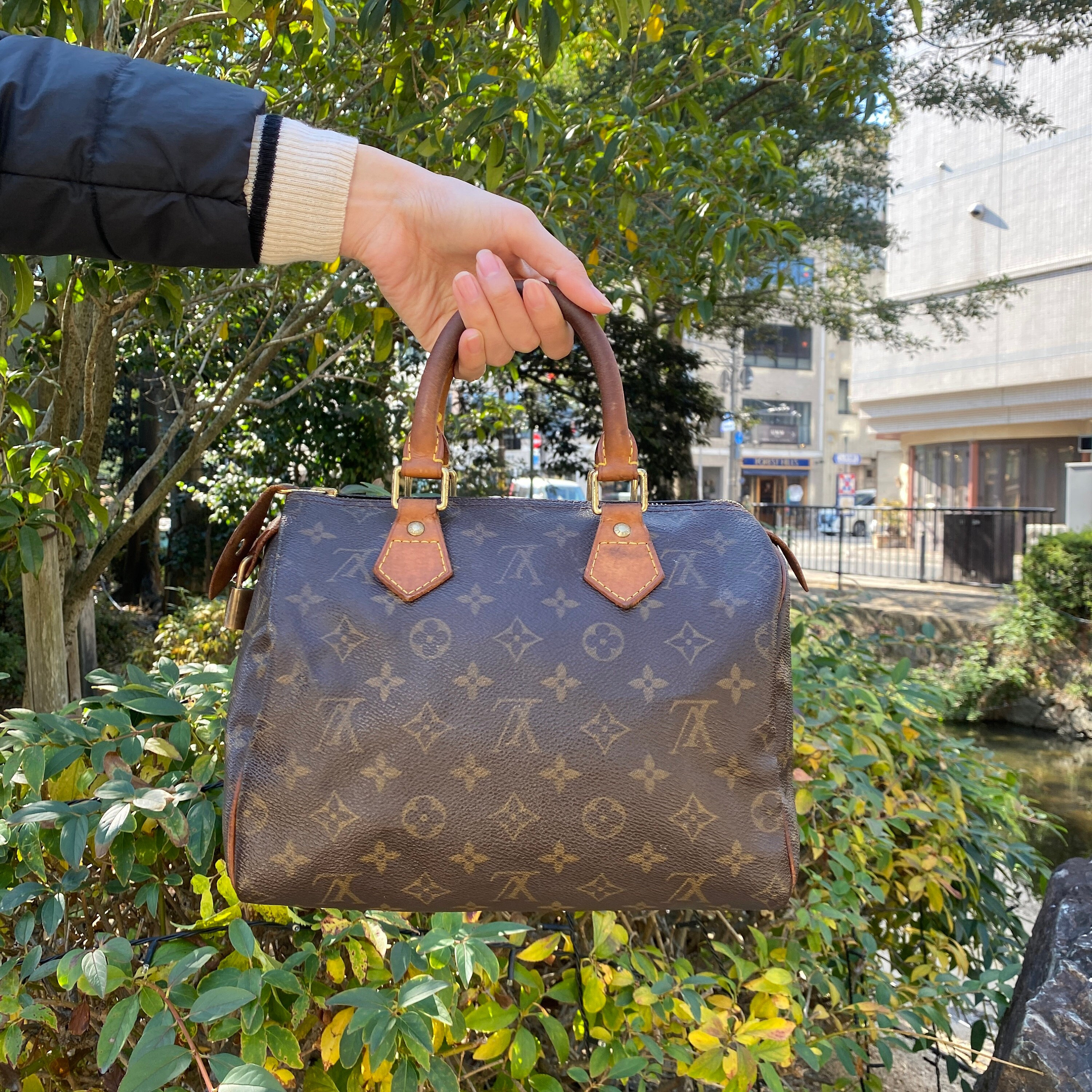 Used Louis Vuitton Handbag 
