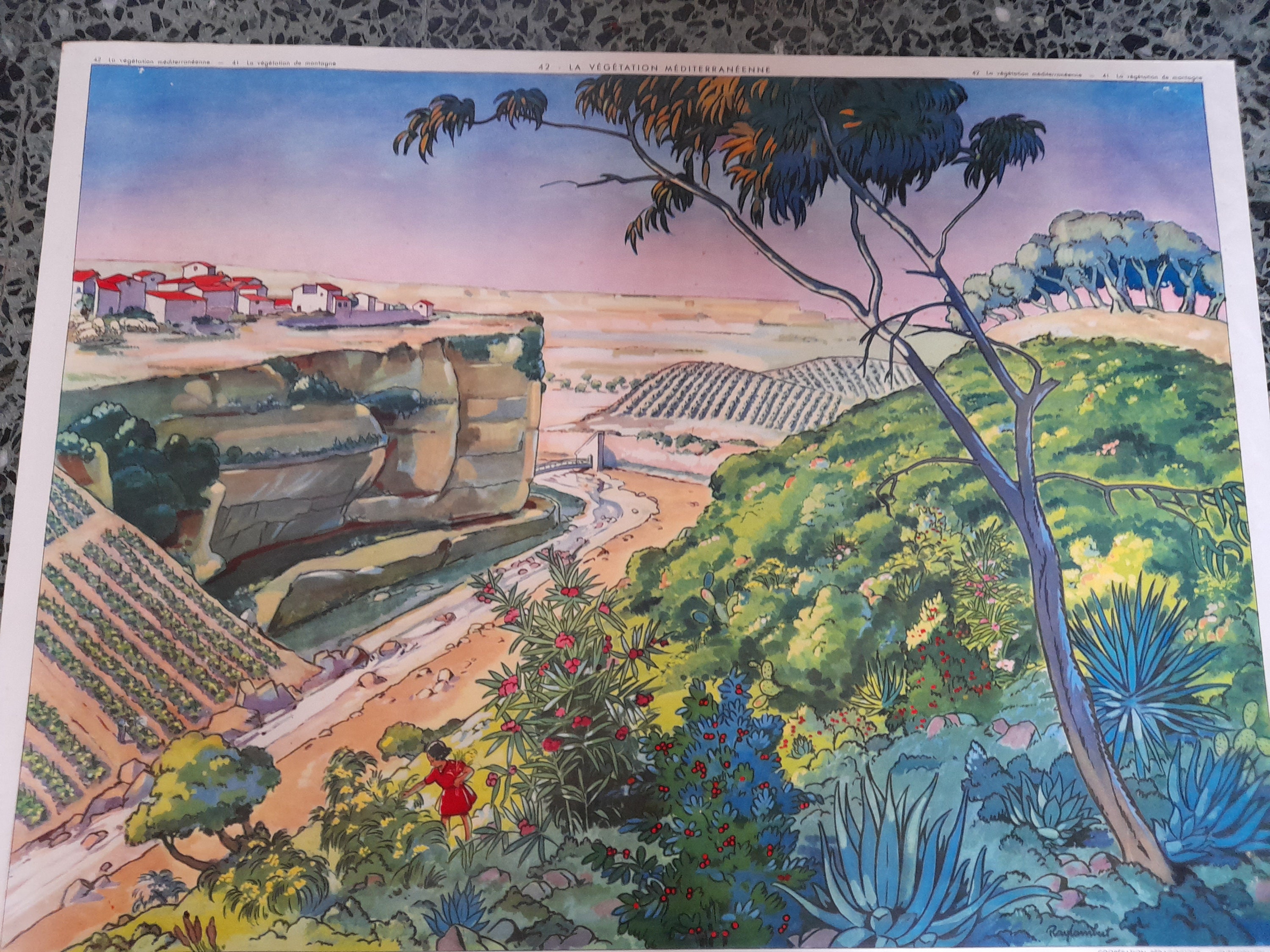 Affiche Ancienne Rossignol Vintage Vienne Montmorillon Géographie