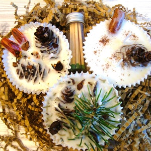 May include: Three white wax melts in paper cups, decorated with pine cones, cinnamon sticks, and greenery. A small glass tube of matches sits nearby, all nestled in brown paper filler.