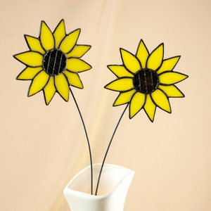 Glas-Sonnenblume auf einem Stiel - Einzelzweig