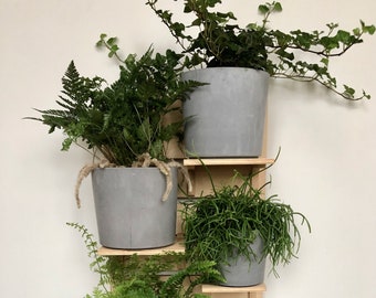 Pegboard for plants. Innovative indoor vertical garden. Board & set of shelves. 30 x 75 cm.