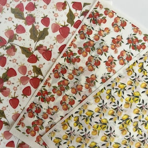 Fruittransferbladen | Citroenen Sinaasappels Citrus Aardbeien | wateroplosbaar transferpapier |  Afbeeldingsoverdrachten van polymeerklei