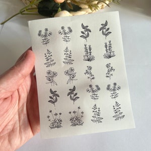 Fogli di trasferimento in argilla per disegno botanico: trasferimenti di immagini solubili in acqua