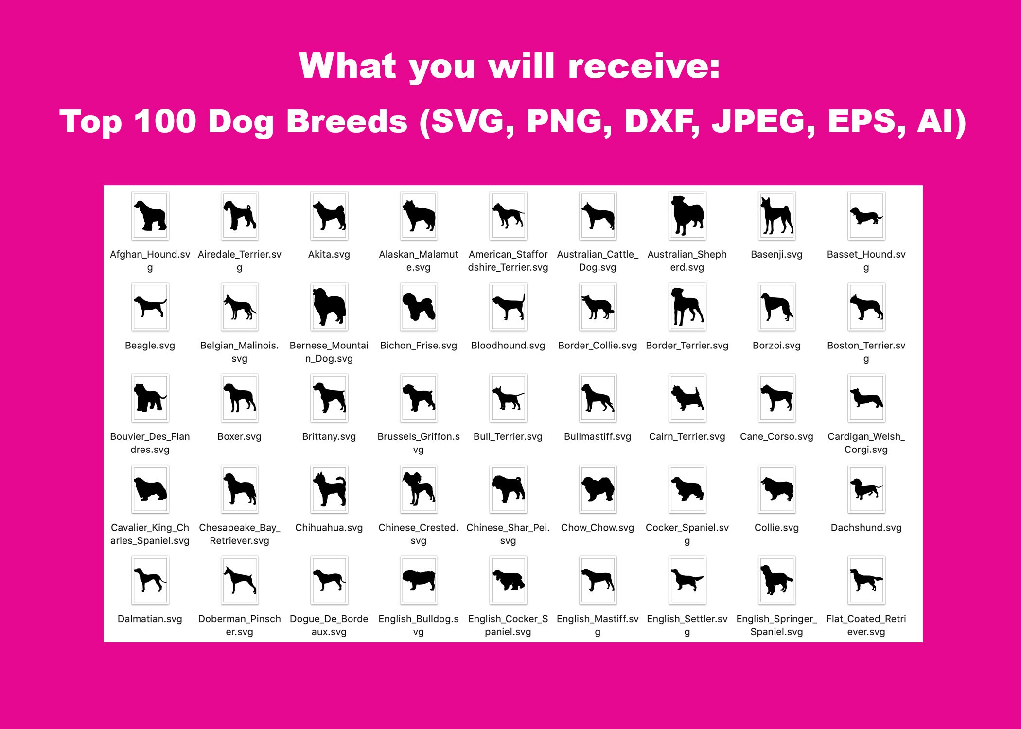 100 Dog Breeds SVG Bundle Popular Dogs Megabundle Dog Breed - Etsy