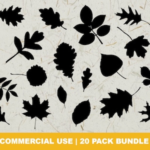 Fall Leaves SVG Bundle, Autumn Leaf Svg, Canadian Leaf Template, Leaf Designs, Leaf Elements, Leaf Cut File for Cricut, Silhouette, PNG, DXF