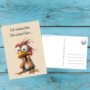 Cartes postales de poulet, cartes postales de poulet, âge, cartes postales, poulet, papeterie, carte postale poulet, carte postale animaux, cadeau, carte postale poulet, poulet