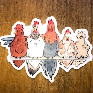 Adesivi polli, adesivi, adesivi pollo
