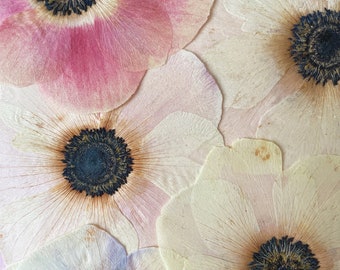 Gepresste Blumen Foto Druck 8 X 10 - Gepresste Anemonen