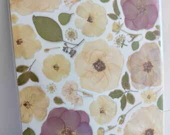 8x10 Gepresste Blumen Fotodrucke | Botanische Wandkunst von Everflorals