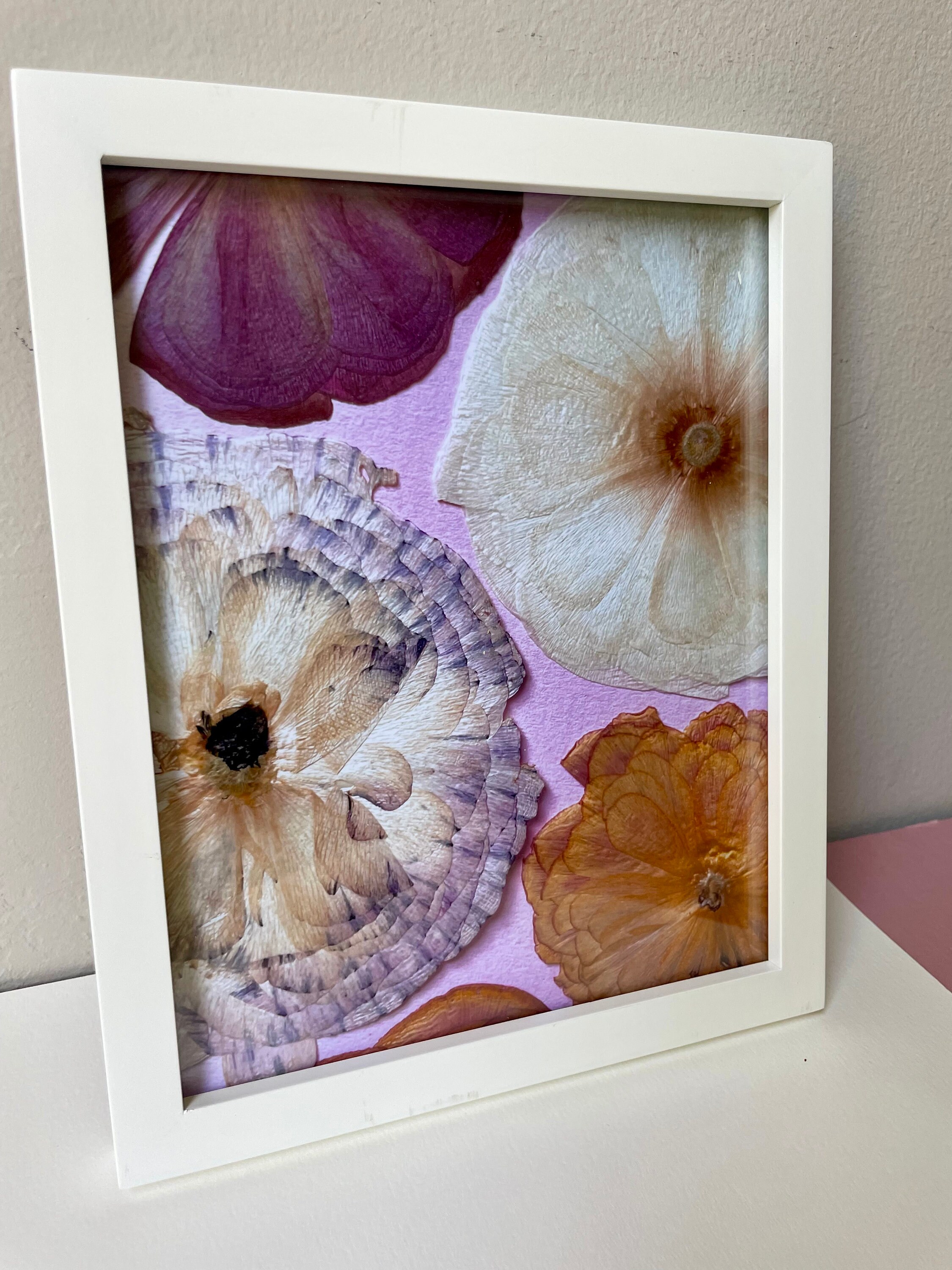 Pressed Flower Photo Print 8x10 Ranunculus Print - Etsy