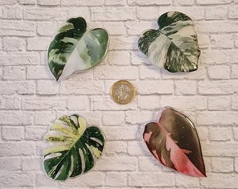 Variegated plant phone grips