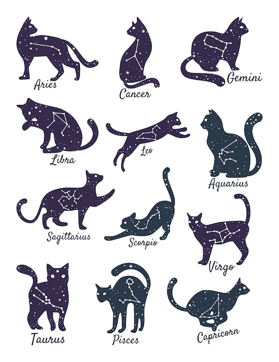 Resin Foil Astrology Cats Astrology Signs Zodiac Signs Etsy