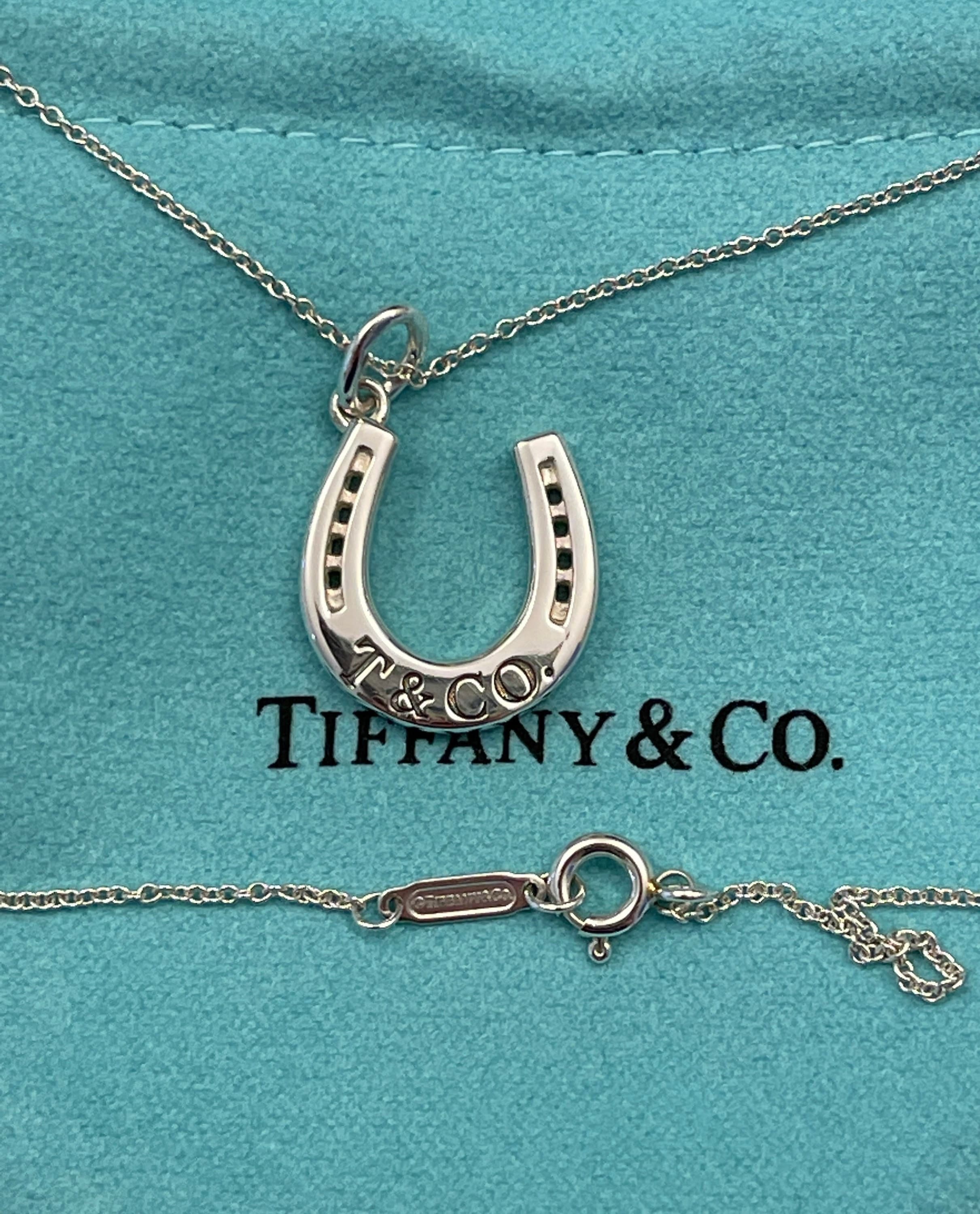 Tiffany & Co 1837 Rubedo Gold Silver Horseshoe Lucky Pendant 18