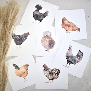 7er Postkartenset Bunte Hühner Set quadratisch | Grußkarte, Geburtstagskarte, Aquarellbild, minimalistisches Design, quadratische Postkarte