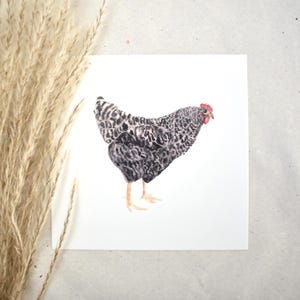 Sperber Huhn Aquarell Quadrat | Grußkarte, Spruch, Geburtstagskarte, Aquarellbild, minimalistisches Design, quadratische Postkarte