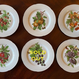 Rochard Limoges France salad / dessert orchard fruit and butterfly plate