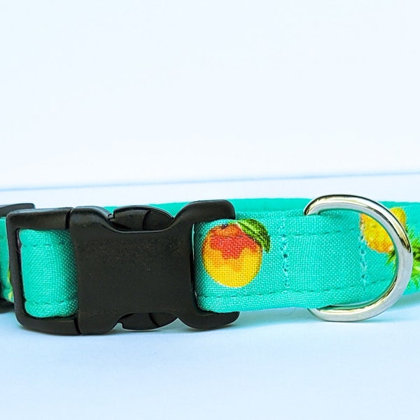 Mango Dog Collar Etsy