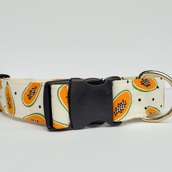 Mango Dog Collar Etsy