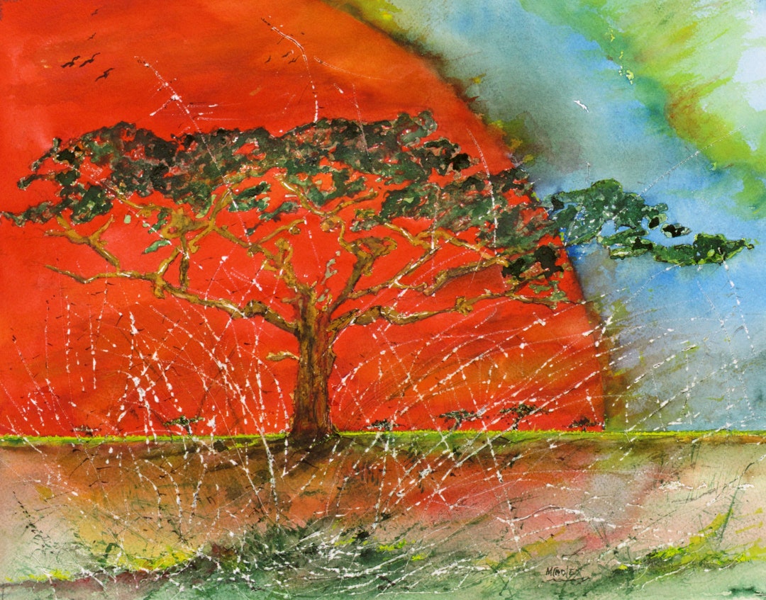 Umbrella Thorn Acadia 11 X 14 Watercolor Watercolor Etsy