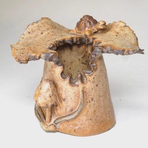 Può includere: Un vaso in ceramica fatto a mano a forma di fungo. Il vaso è di colore marrone maculato con un ampio bordo a balze e una piccola statuina di tartaruga sulla parte superiore. Un disegno di fungo e foglia sul lato.
