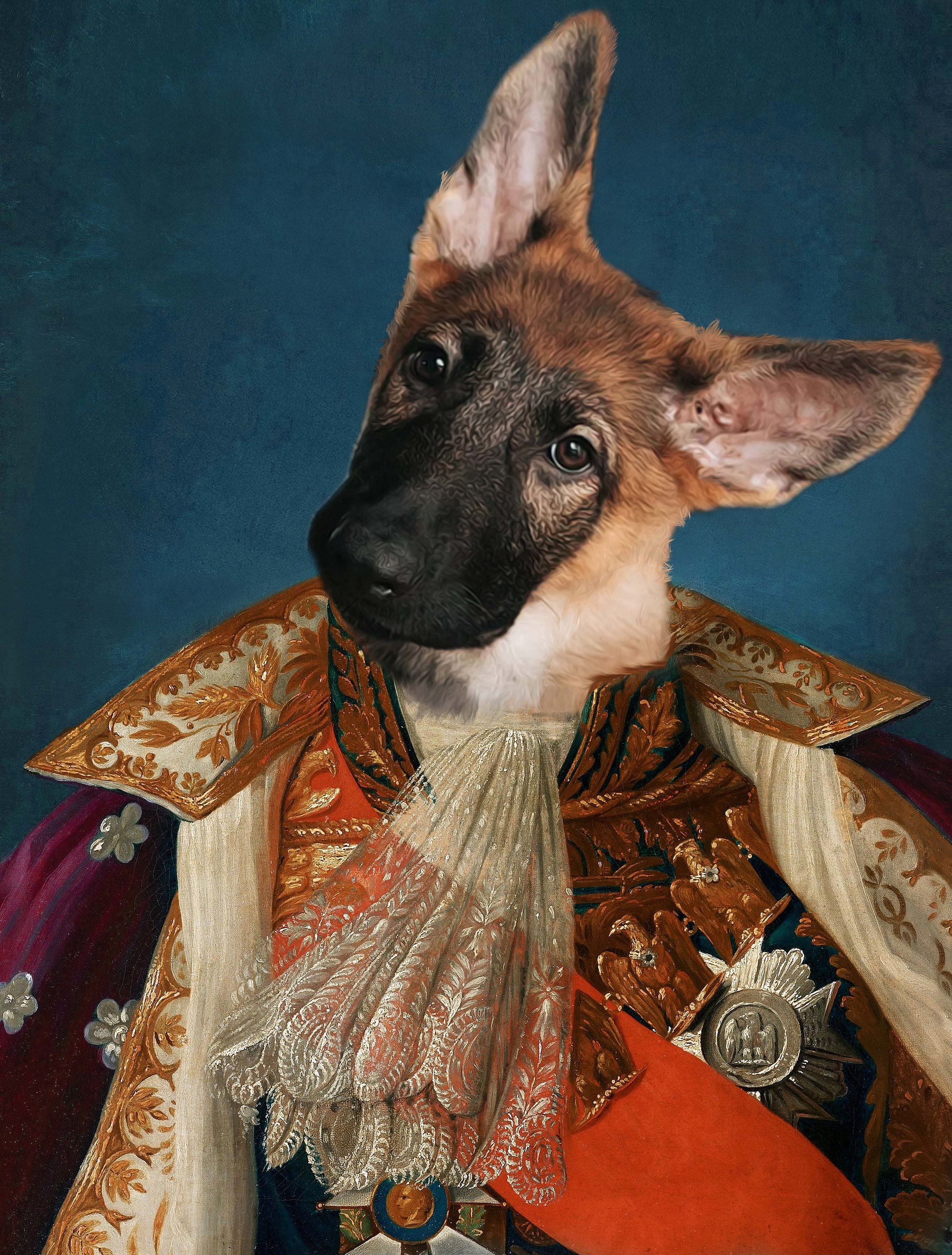 Pet Portrait Background, Digital Backgrounds, Template, Pet