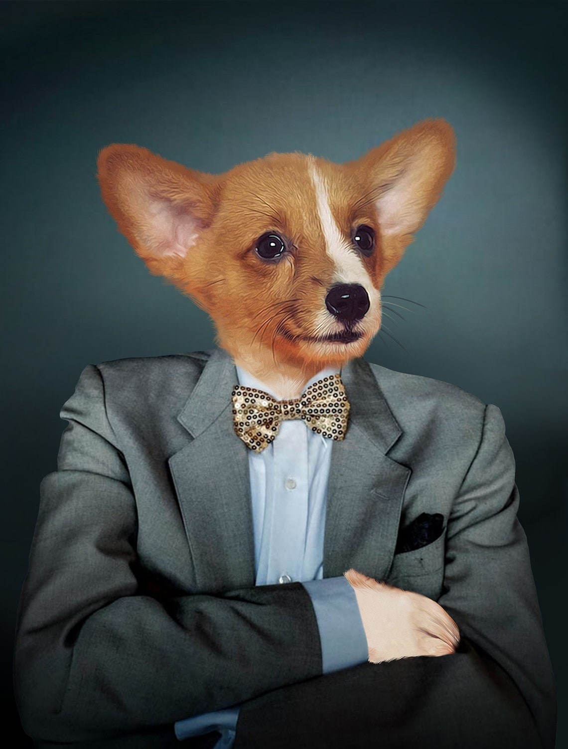 Pet Portrait Background, Digital Backgrounds, Template, Pet