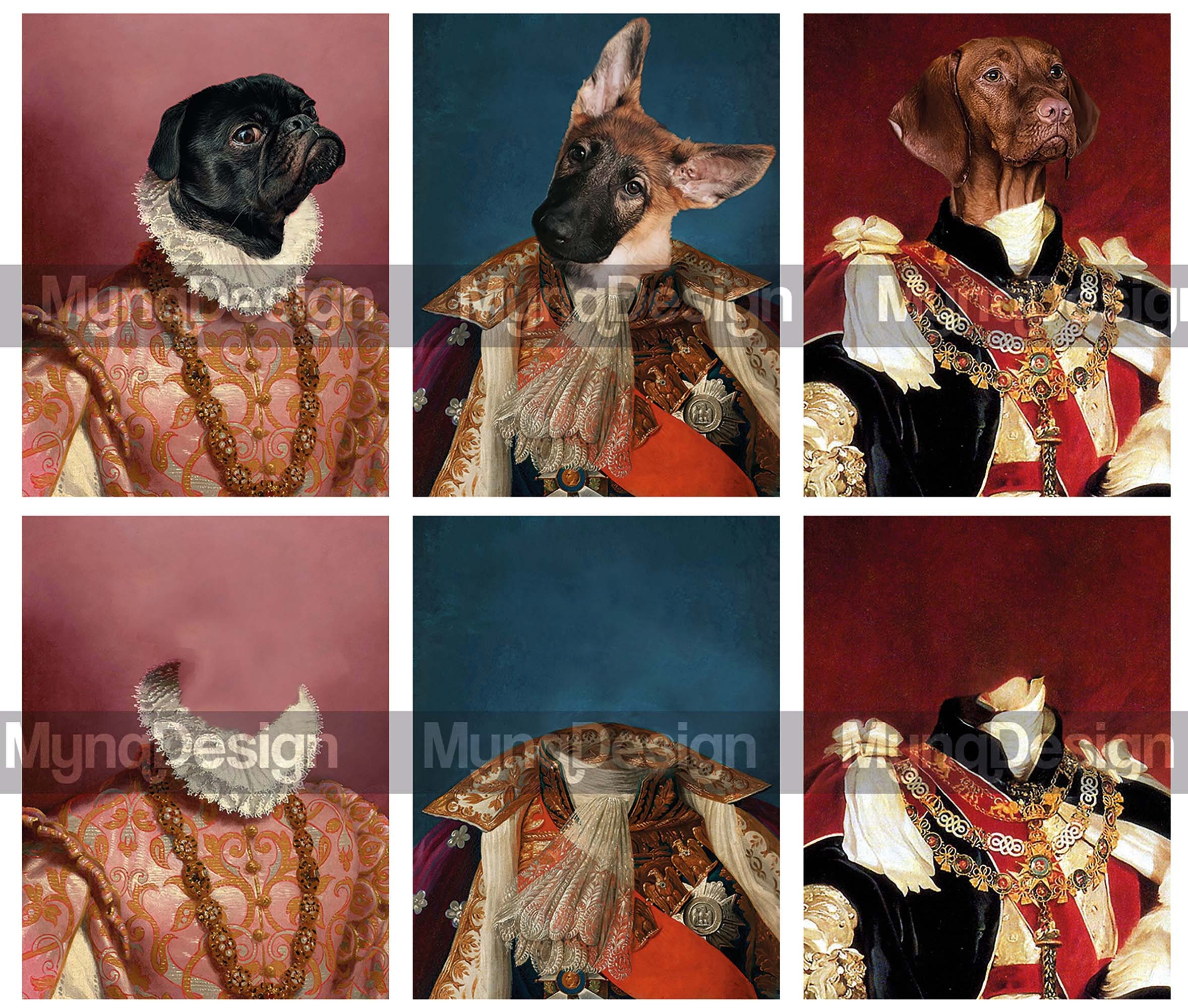 Pet Portrait Background, Digital Backgrounds, Template, Pet